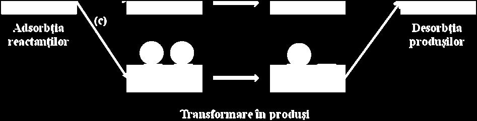 Mecanismele cele mai întâlnite de transformare a moleculelor adsorbite pe suprafaţa catalizatorului sunt prezentate în Fig. CD.04.