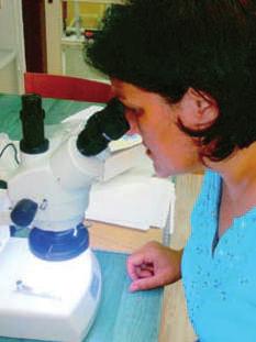 НЕВЕНКА БАШИЋ Микроскопска аналиѕа тканине Microscopic Analysis of cloth За поменуту изложбу изабрана су три плашта: ПЛАШТ 1 Опис предмета. Плашт је дугачак и полукружан. Направљен је од црног плиша.