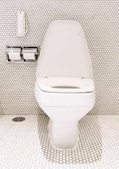 ΚΑΘΑΡΙΣΤΙΚΑ ΧΩΡΩΝ ΥΓΙΕΙΝΗΣ SANITARY CLEANING PRODUCTS Eltron Bathroom Καθαριστικό χώρων υγιεινής, ευχάριστο άρωμα, για αποτελεσματικό καθαρισμό και συντήρηση της γυαλάδας των μπαταριών του λουτρού.