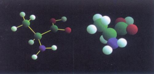 1. Bizitzaren kimikaz Biologia 1.Elementu eta molekula garrantzitsuak ikuspuntu biologikotik begiratuta Zelula bizidunek hainbat elementu kimiko dituzte.