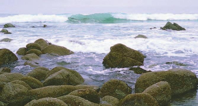 dago bizitzarik. Izaki bizidunentzat ura ezinbestekoa da, bi arrazoirengatik: batetik, zelularen funtsezko osagaia delako eta, bestetik, izaki askoren habitata delako.