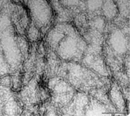 c.)1 In vivo (pig s.c.) Insulin glargine and NPH images: data on file.