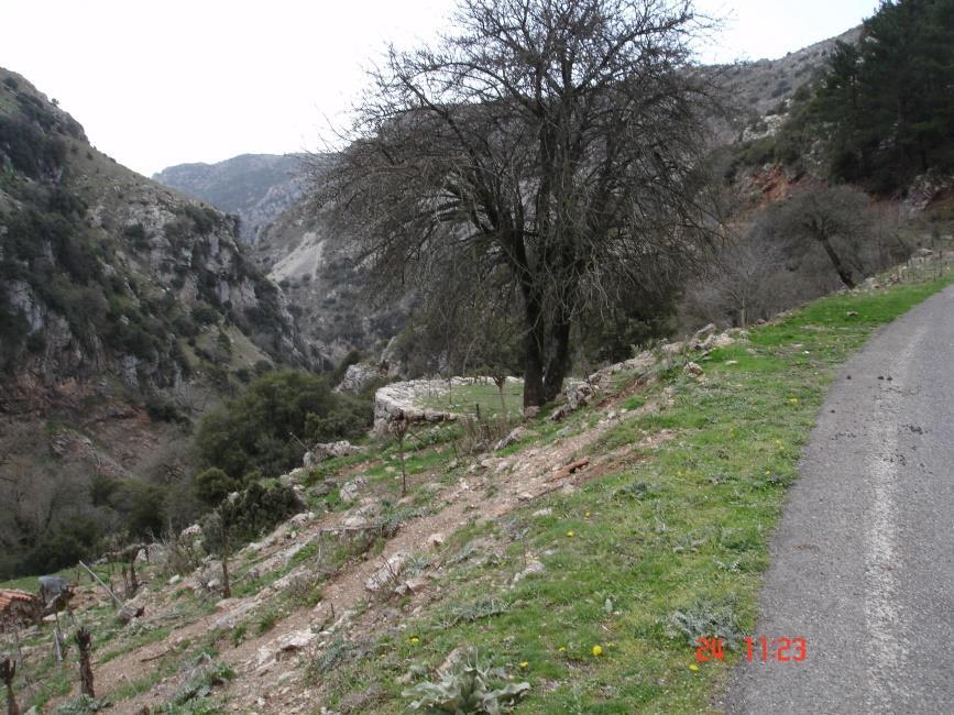 Αλώνι στη Δημητσάνα (του Μπαρμπίνη το αλώνι). Τα αλώνια, εκτός από μοναδικά δείγματα τοπικής γνώσης (π.χ.