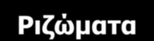 Βλαστοί μεταμορφωμένοι Ριζώματα: