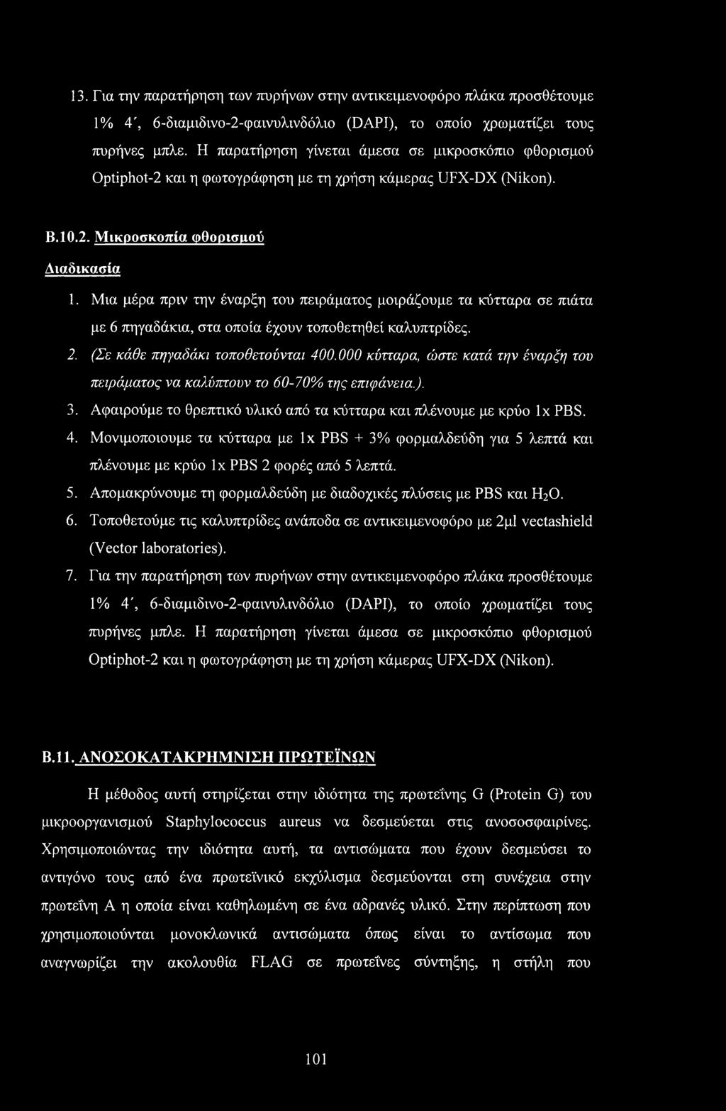 13. Για την παρατήρηση των πυρήνων στην αντικειμενοφόρο πλάκα προσθέτουμε 1% 4', 6-διαμιδινο-2-φαινυλινδόλιο (DAPI), το οποίο χρωματίζει τους πυρήνες μπλε.