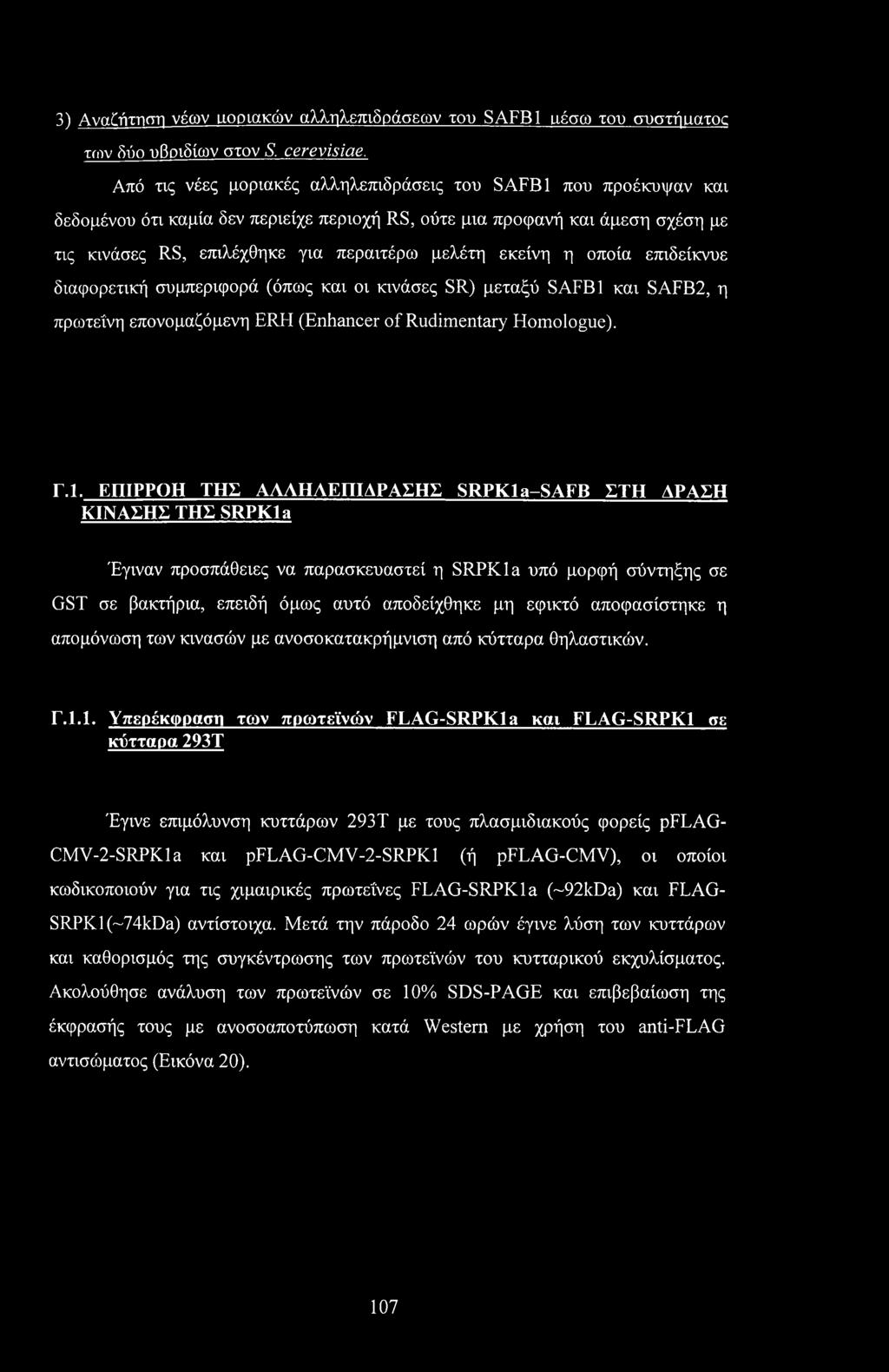 εκείνη η οποία επιδείκνυε διαφορετική συμπεριφορά (όπως και οι κινάσες SR) μεταξύ SAFB1 