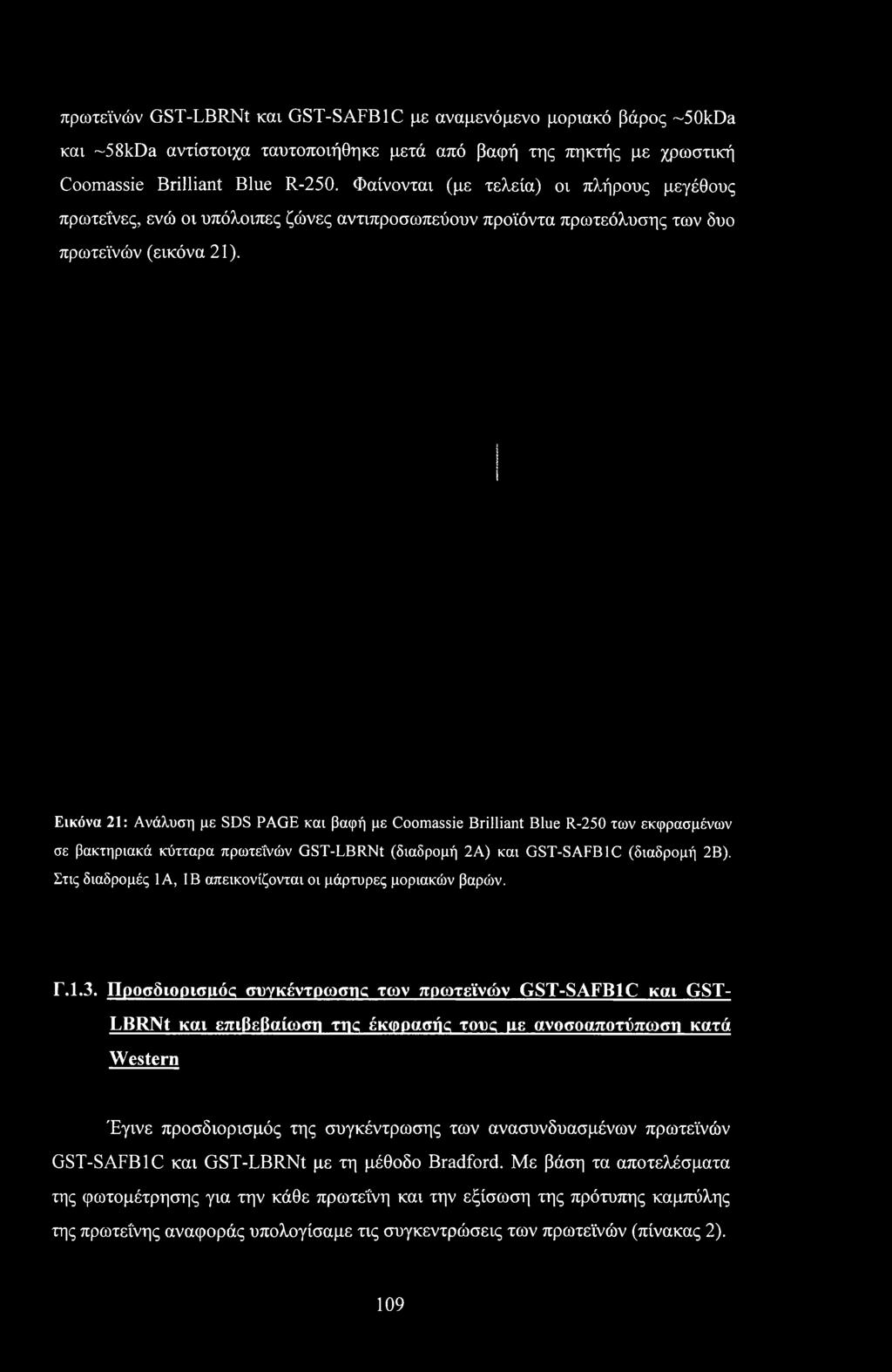 Εικόνα 21: Ανάλυση με SDS PAGE και βαφή με Coomassie Brilliant Blue R-250 των εκφρασμένων σε βακτηριακά κύτταρα πρωτεϊνών GST-LBRNt (διαδρομή 2Α) και GST-SAFB1C (διαδρομή 2Β).
