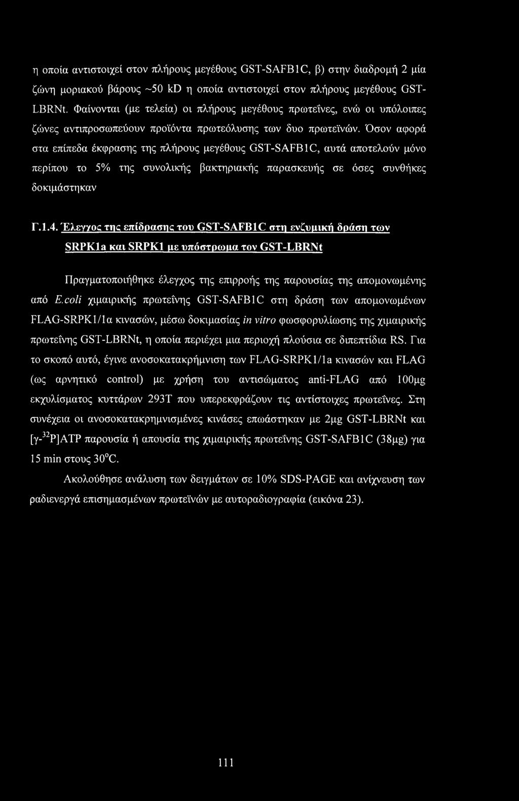Όσον αφορά στα επίπεδα έκφρασης της πλήρους μεγέθους GST-SAFB1C, αυτά αποτελούν μόνο περίπου το 5% της συνολικής βακτηριακής παρασκευής σε όσες συνθήκες δοκιμάστηκαν Γ.1.4.