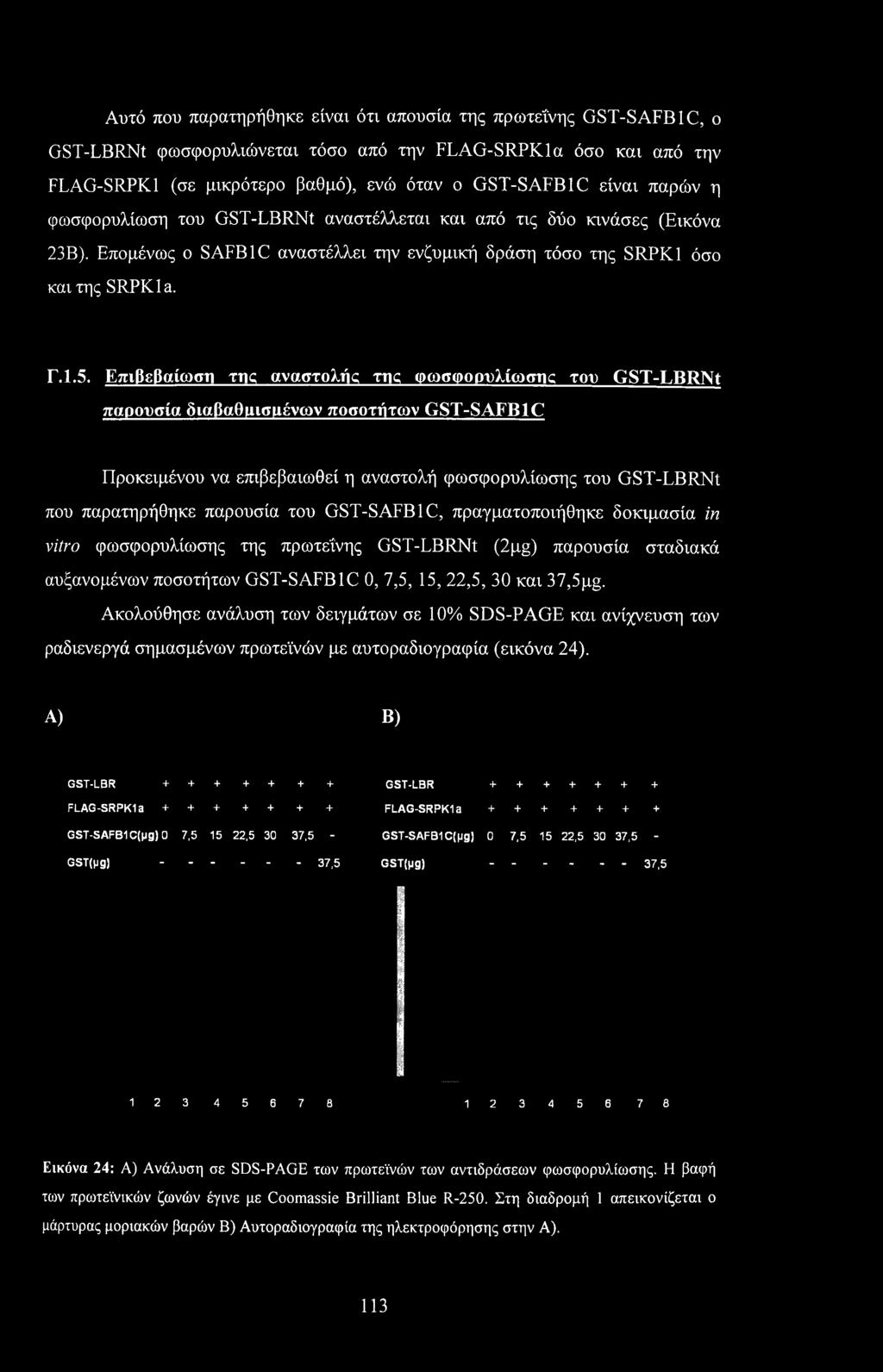 Επιβεβαίωση της αναστολής της φωσφορυλίωσης του GST-LBRNt παρουσία διαβαθμισμένων ποσοτήτων GST-SAFB1C Προκειμένου να επιβεβαιωθεί η αναστολή φωσφορυλίωσης του GST-LBRNt που παρατηρήθηκε παρουσία του