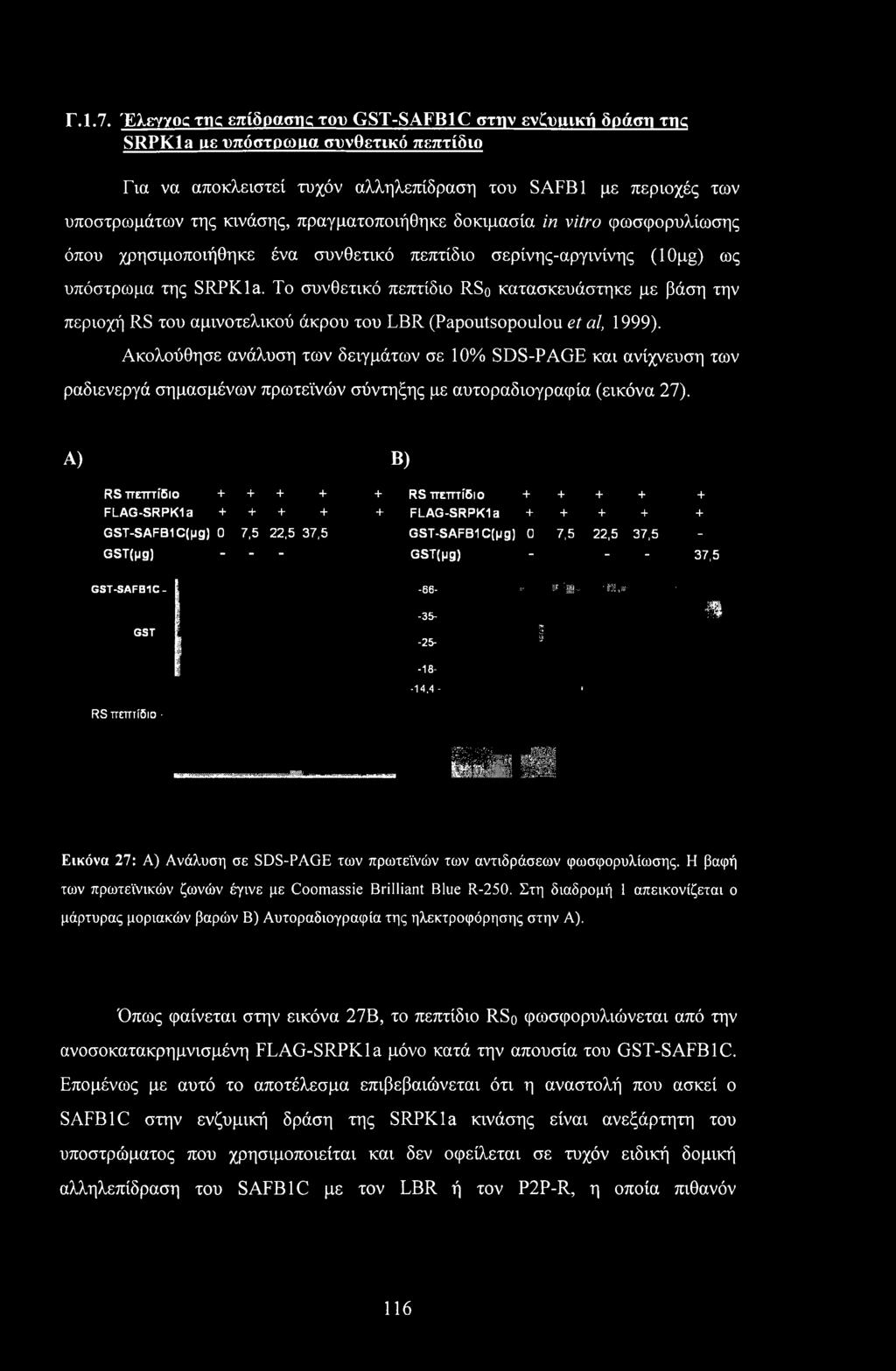 πραγματοποιήθηκε δοκιμασία in vitro φωσφορυλίωσης όπου χρησιμοποιήθηκε ένα συνθετικό πεπτίδιο σερίνης-αργινίνης (10pg) ως υπόστρωμα της SRPKla.