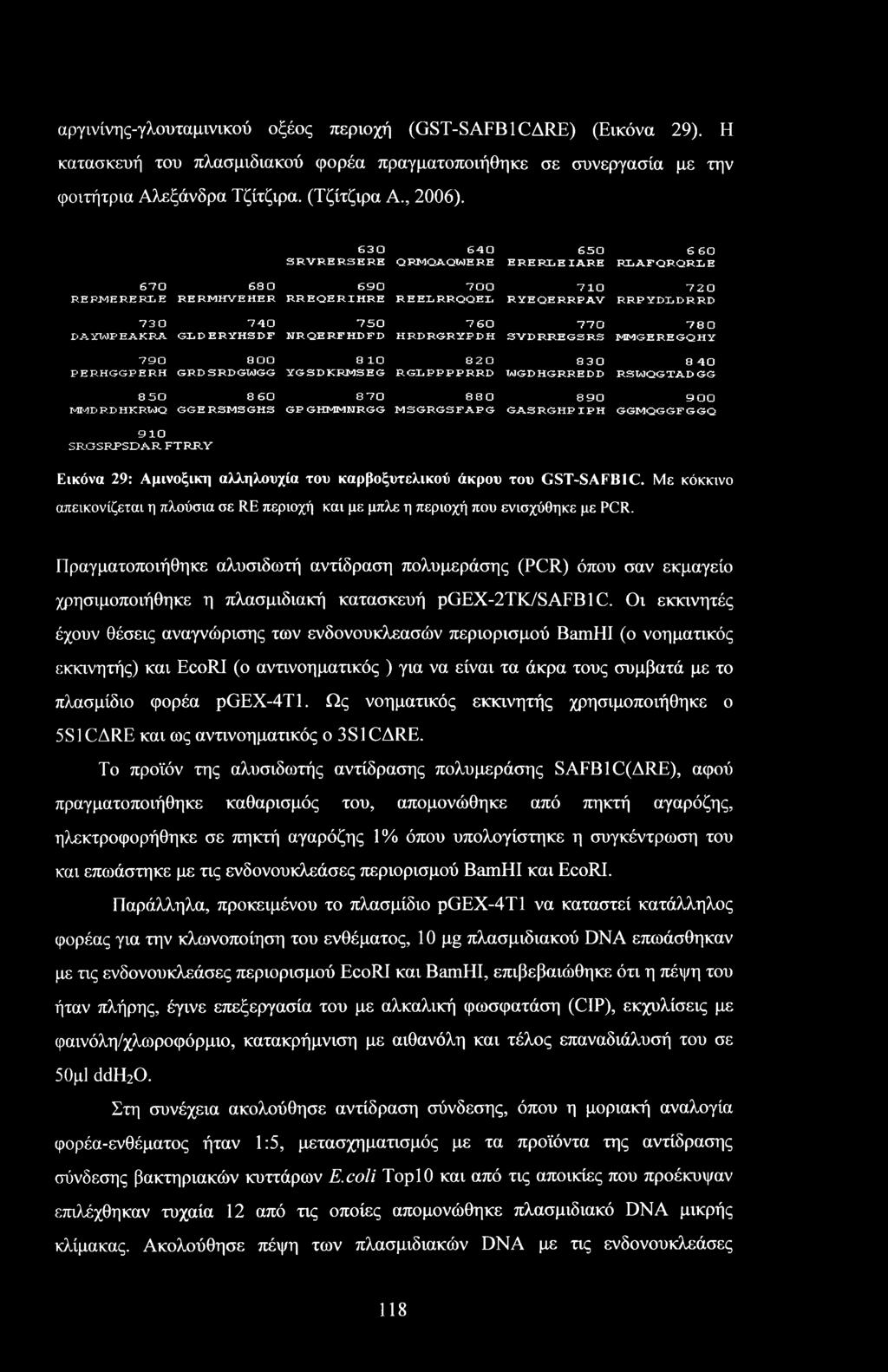 αργινίνης-γλουταμινικού οξέος περιοχή (GST-SAFB1CARE) (Εικόνα 29). Η κατασκευή του πλασμιδιακού φορέα πραγματοποιήθηκε σε συνεργασία με την φοιτήτρια Αλεξάνδρα Τζίτζιρα. (Τζίτζιρα Α., 2006).