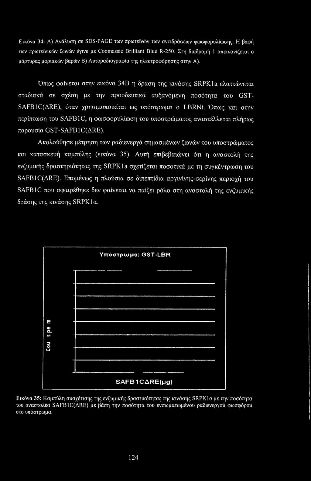 Όπως φαίνεται στην εικόνα 34Β η δράση της κινάσης SRPKla ελαττώνεται σταδιακά σε σχέση με την προοδευτικά αυξανόμενη ποσότητα του GST- SAFBIC(ARE), όταν χρησιμοποιείται ως υπόστρωμα ο LBRNt.