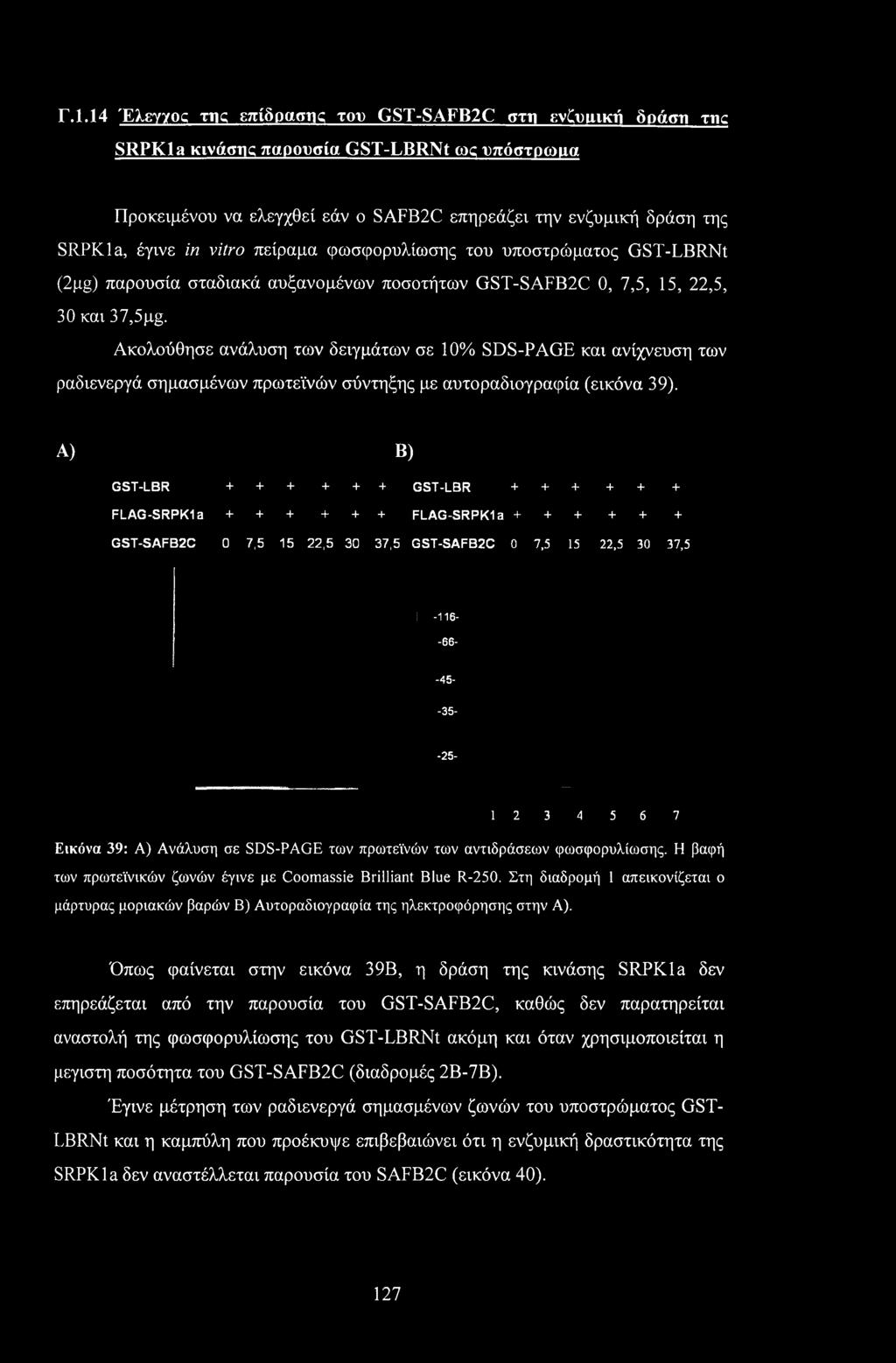 Ακολούθησε ανάλυση των δειγμάτων σε 10% SDS-PAGE και ανίχνευση των ραδιενεργά σημασμένων πρωτεϊνών σύντηξης με αυτοραδιογραφία (εικόνα 39).