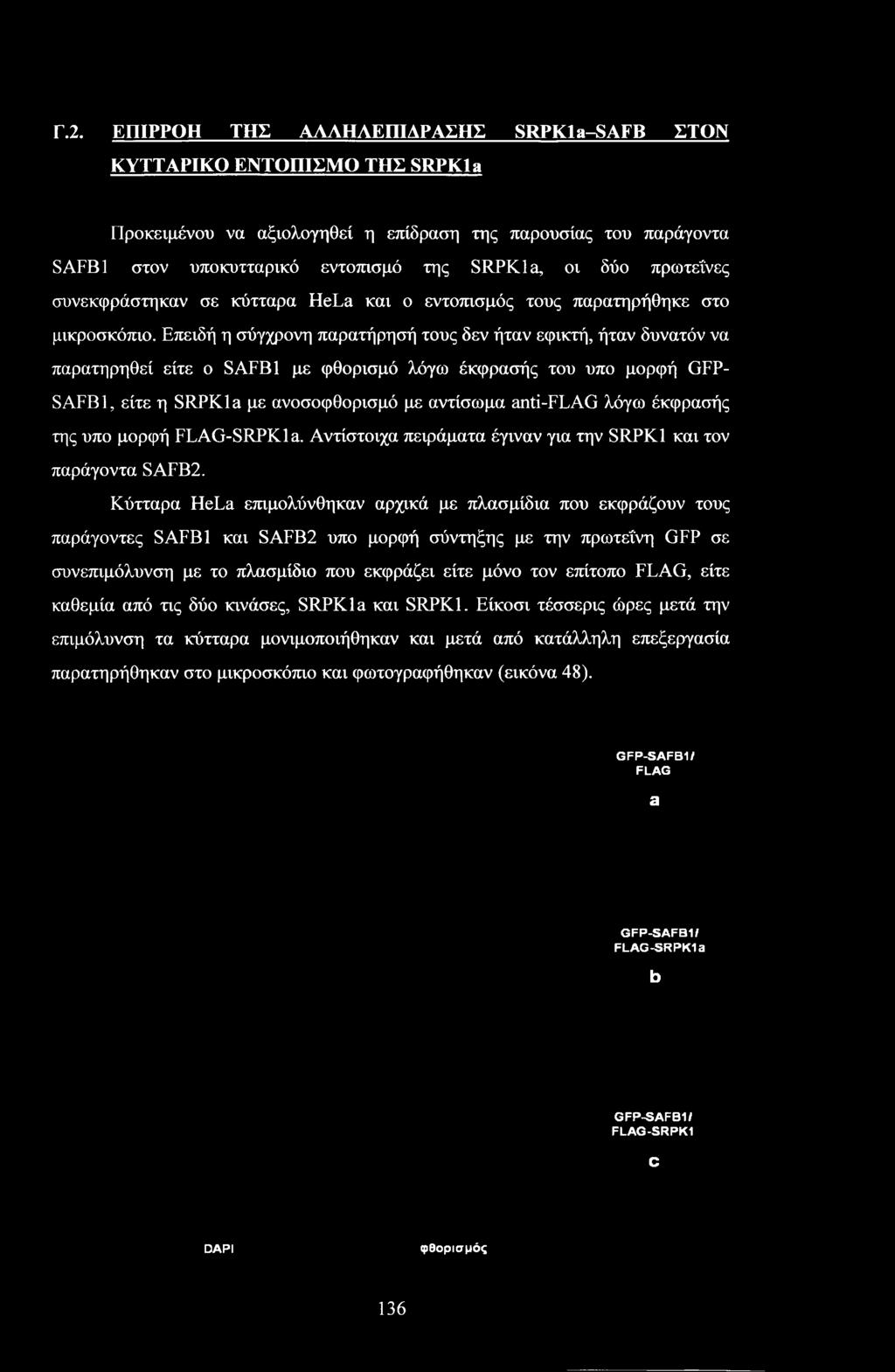 Επειδή η σύγχρονη παρατήρησή τους δεν ήταν εφικτή, ήταν δυνατόν να παρατηρηθεί είτε ο SAFB1 με φθορισμό λόγω έκφρασής του υπο μορφή GFP- SAFB1, είτε η SRPKla με ανοσοφθορισμό με αντίσωμα anti-flag