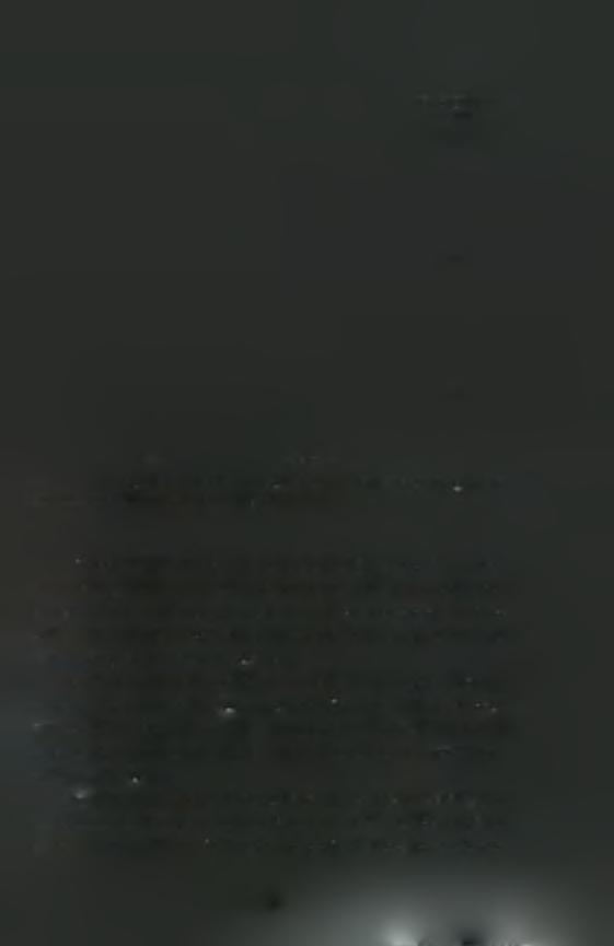 FLAG-SRPKIa/ SAFB2 a b c DAPI anti-flag Εικόνα 49: Υποκυτταρικός εντοπισμός των κινασών SRPKla και SRPK1 μέσω ανοσοφθορισμού παρουσία των παραγόντων S AFB1 και SAFB2 σε κύτταρα HeLa.