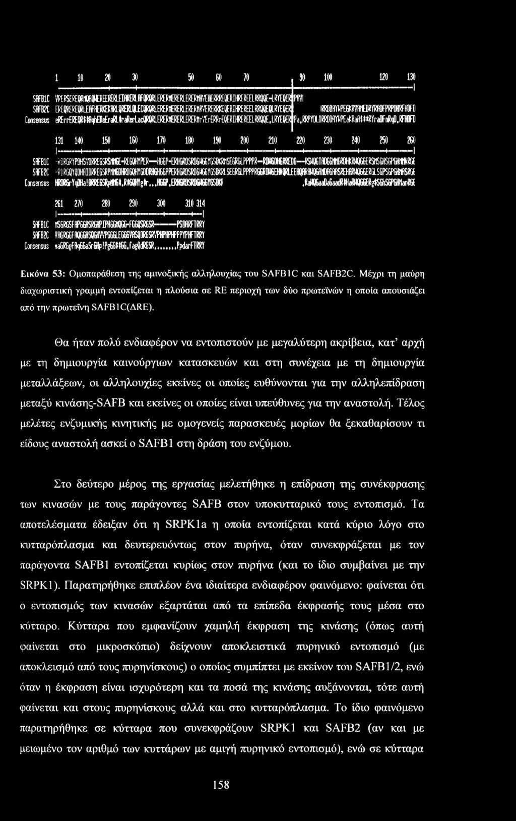SOT1C SUM Consensus 1 ID 2D 3D -4----------------- t 5D 6D 7D VR RS RESi?