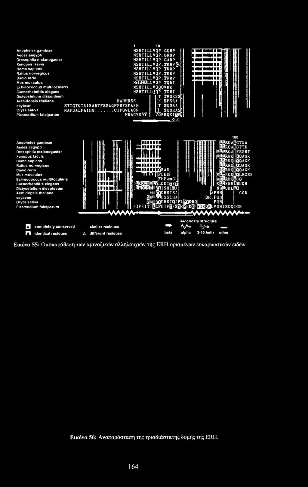 Caenorhabditis elegans Dictyostelium discoideum Arabidopsis thaliana soybean Oryza sativa Plasmodium falciparum JR AD FLEDi FHPAWGi ) jjkjjgmjtald HT Y J sittwihi mrshlsa AH JjEHSISA B ah TOdssiha!