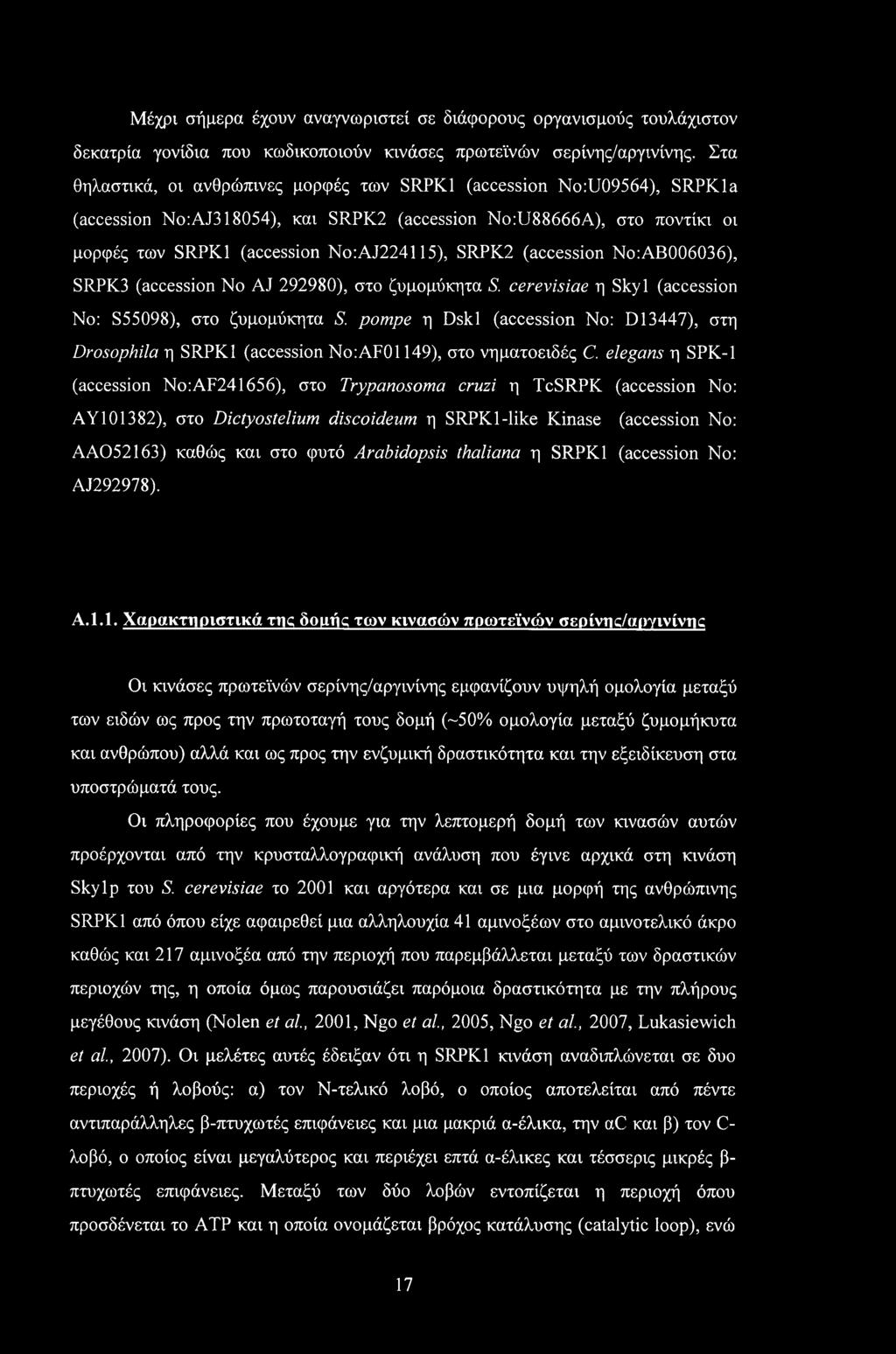 (accession No:AB006036), SRPK3 (accession No AJ 292980), στο ζυμομύκητα S. cerevisiae η Skyl (accession No: S55098), στο ζυμομύκητα S.