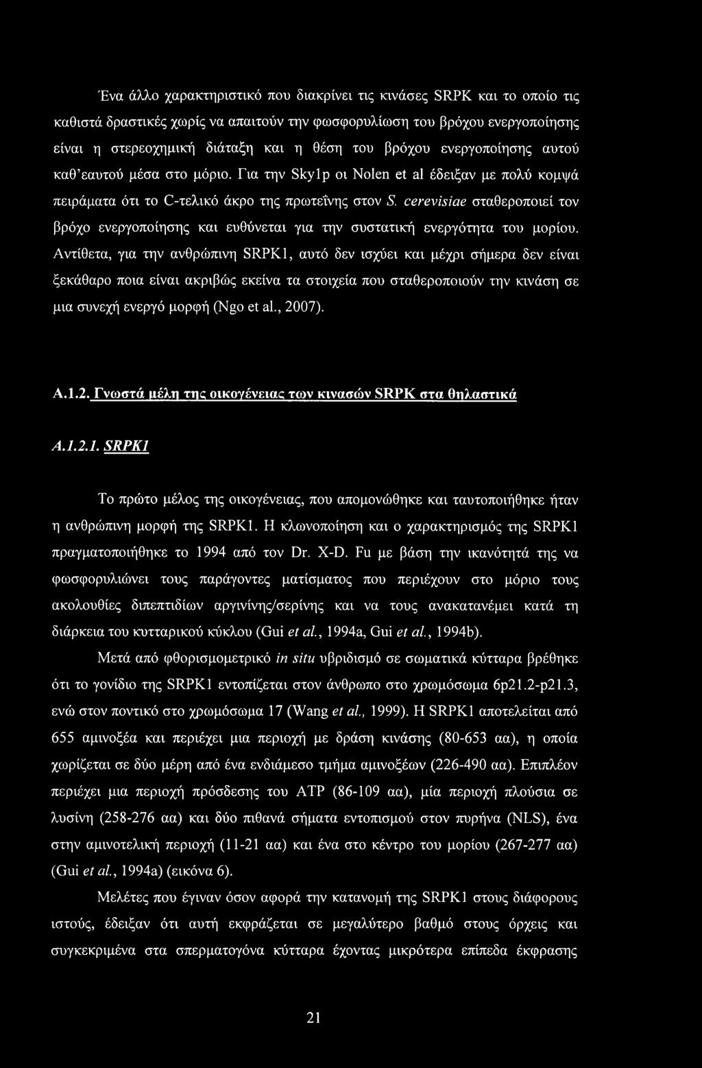 cerevisiae σταθεροποιεί τον βρόχο ενεργοποίησης και ευθύνεται για την συστατική ενεργότητα του μορίου.