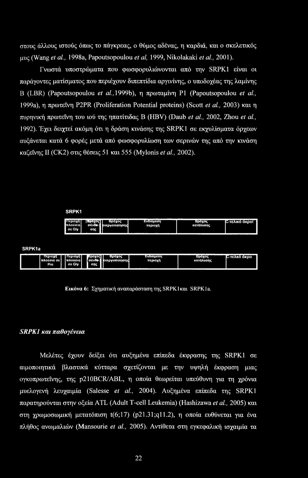, 1999b), η πρωταμίνη PI (Papoutsopoulou et al., 1999a), η πρωτεΐνη P2PR (Proliferation Potential proteins) (Scott et al., 2003) και η πυρηνική πρωτεΐνη του ιού της ηπατίτιδας Β (HBV) (Daub et al.