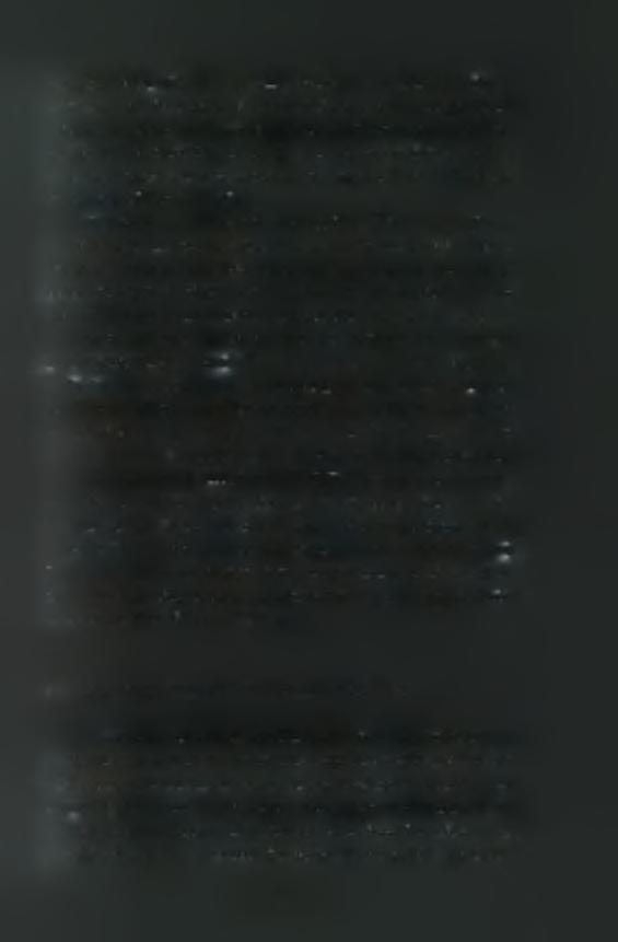 export signal-nes) (Fukunda et al, 1997).