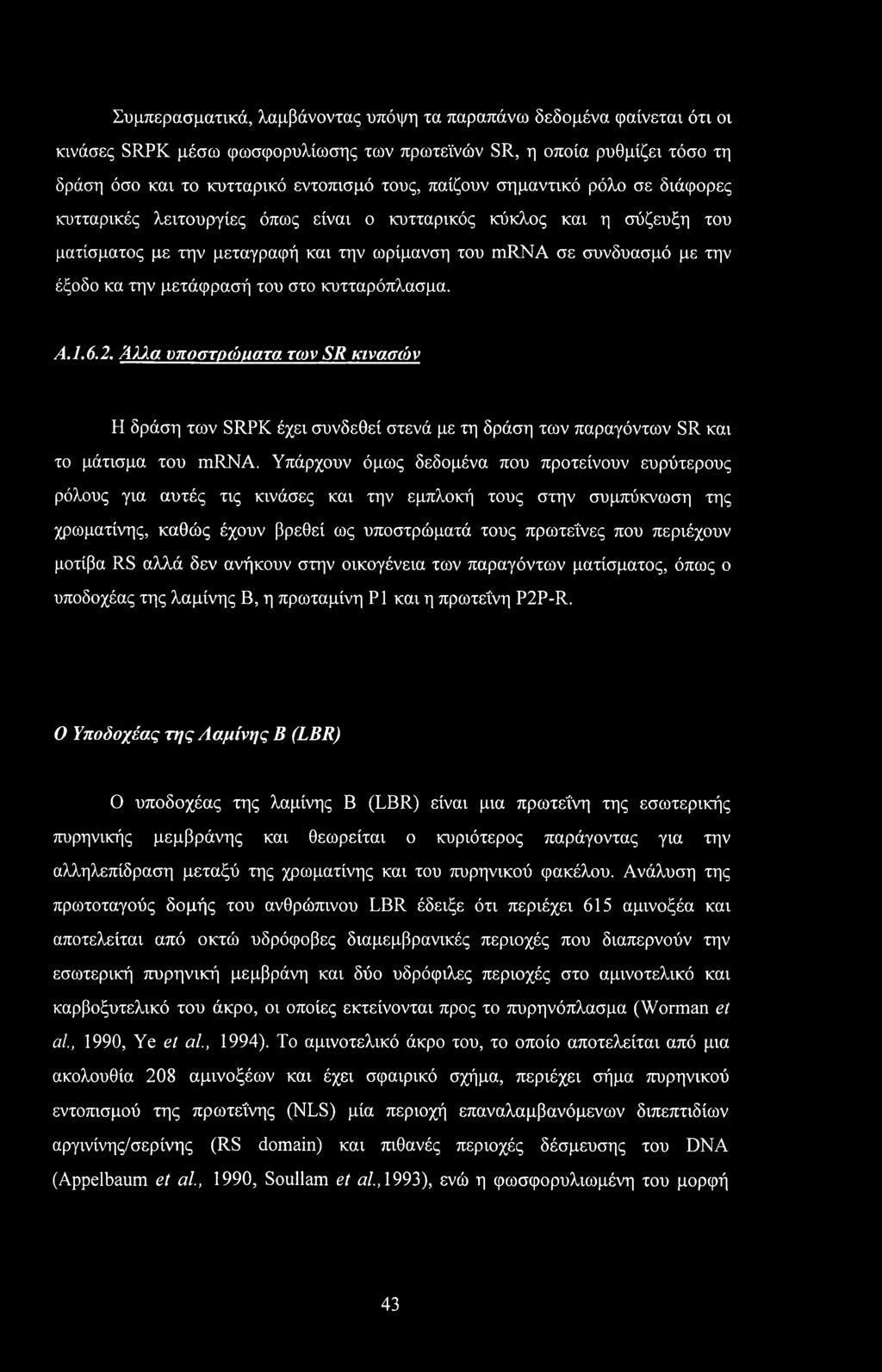 στο κυτταρόπλασμα. Λ. 1.6.2. Άλλα υποστρώματα των SR κινασών Η δράση των SRPK έχει συνδεθεί στενά με τη δράση των παραγόντων SR και το μάτισμα του mrna.