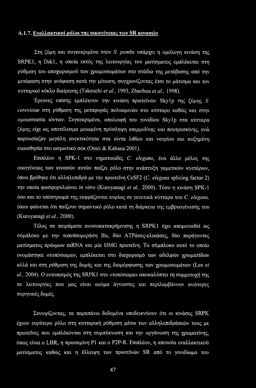 ανάφαση κατά την μίτωση, συγχρονίζοντας έτσι το μάτισμα και τον κυτταρικό κύκλο διαίρεσης (Takeuchi et al, 1993, Zhaohua et αί, 1998).