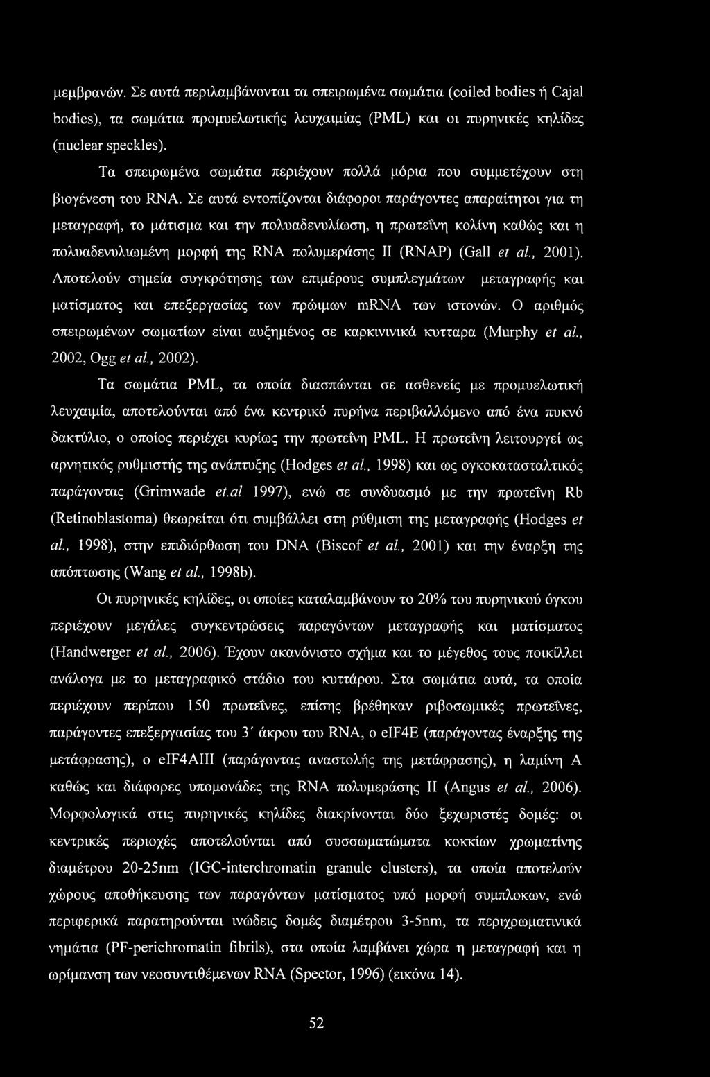Σε αυτά εντοπίζονται διάφοροι παράγοντες απαραίτητοι για τη μεταγραφή, το μάτισμα και την πολυαδενυλίωση, η πρωτεΐνη κολίνη καθώς και η πολυαδενυλιωμένη μορφή της RNA πολυμεράσης II (RNAP) (Gall et