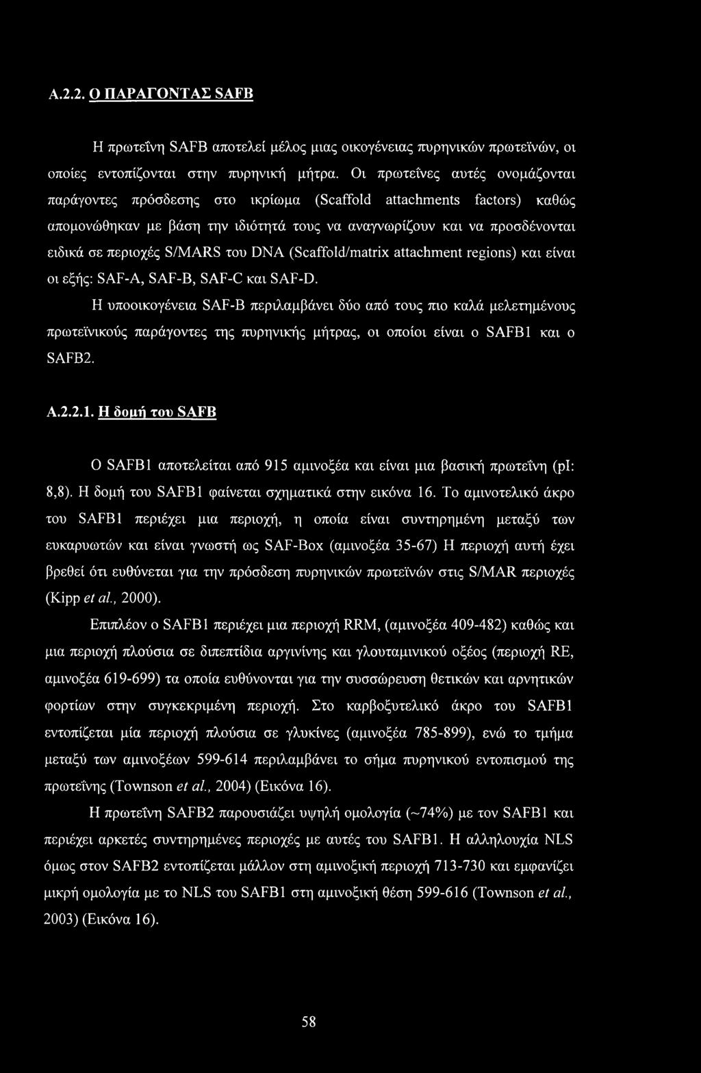 Α.2.2. Ο ΠΑΡΑΓΟΝΤΑΣ SAFB Η πρωτεΐνη SAFB αποτελεί μέλος μιας οικογένειας πυρηνικών πρωτεϊνών, οι οποίες εντοπίζονται στην πυρηνική μήτρα.