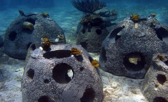 4.3.5 Τεχνητοί ύφαλοι (Artificial Reefs) H κατασκευή τεχνητών υφάλων έχει ξεκινήσει χιλιάδες χρόνια πριν για λόγους ασφάλειας και προστασίας από τον εχθρό αλλά και για την προσέλκυση διαφόρων ειδών