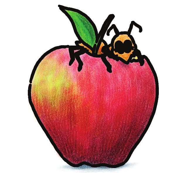 Magic Letterland An ant on the apple, an ant on the apple, an ant on the apple