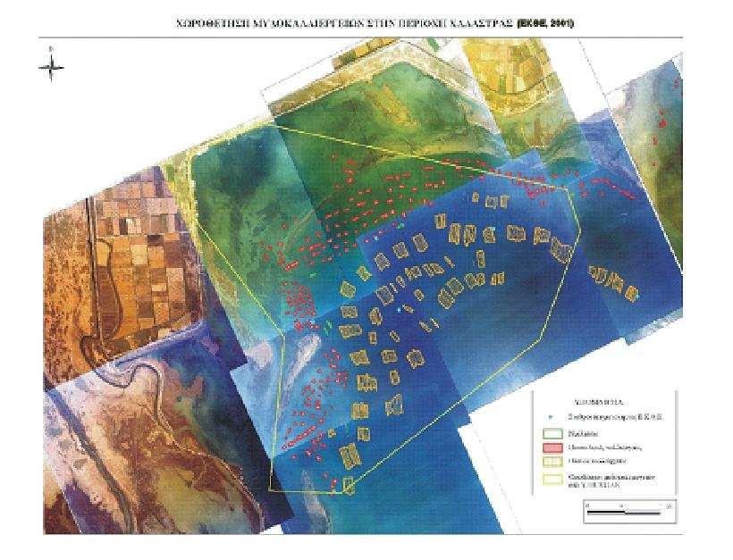 ελάχιστο µέγεθος της µονάδας είναι 5 cm 2, ενώ το µέγιστο 2 στρέµµατα. Η παραγωγή των µυδιών ανέρχεται σε 1 τόννους /έτος/µονάδα στα πλωτά και σε 15 τόννους /έτος/µονάδα στα πασσαλωτά.