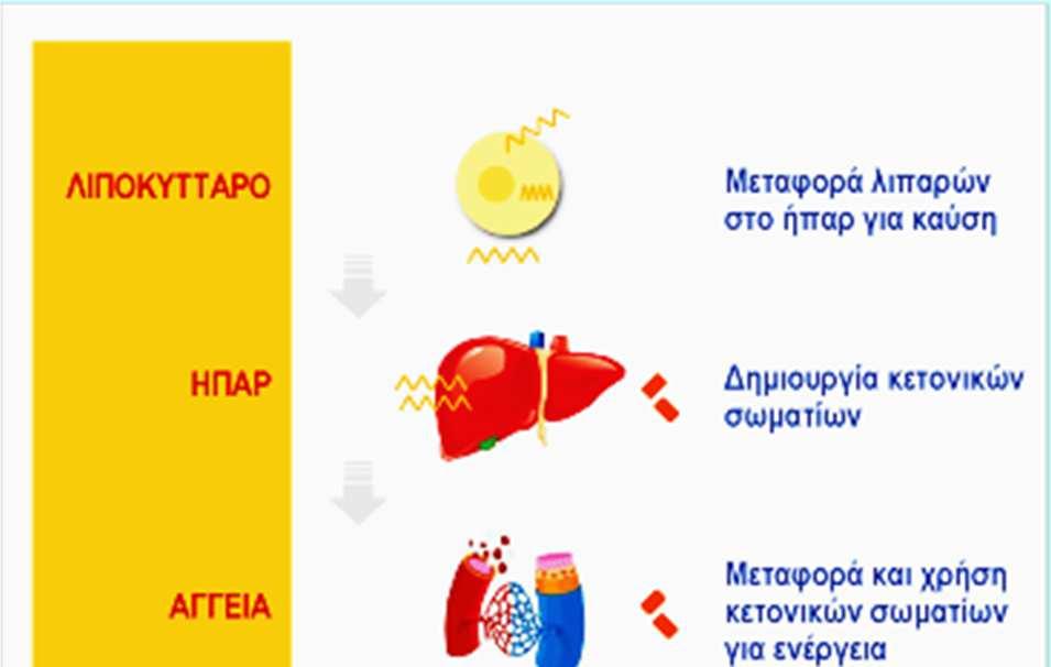 πρωτεϊνική)