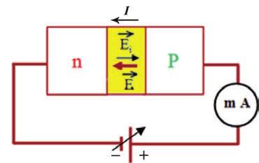 ويمكن تفسير الوصول إلى حالة التوازن بنشوء حقل كهربائي داخلي جهته من n إلى P يؤثر هذا الحقل في حامالت الشحنة األكثرية بقوى كهربائية جهتها معاكسة لجهة انتقالها.