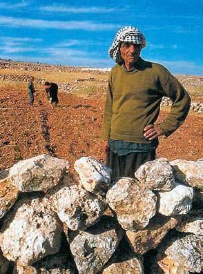 Εικόνα 20.4: Βεδουίνος καλλιεργητής Γίνε για λίγο ένας Βεδουίνος (κάτοικος της ερήμου) και περίγραψε ένα εικοσιτετράωρο της ζωής σου στην έρημο.