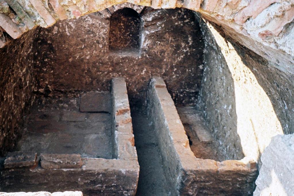 200 Миша Ракоција Сл. 22 Гробница у Топоници, поглед са истока (фото. М. Ракоција) Fig. 22 Tomb in Toponica, view from the east (photo. M Rakocija) надвишена ниша.