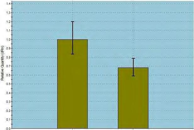 Αποσιώπηση CNOT6-LIKE MSH T-CNOT6-L Eικόνα 22: Ποσοτική RT-PCR για έλεγχο των επιπέδων έκφρασης της CNOT6L μετά από αποσιώπησή της σε κύτταρα NCI-H520.