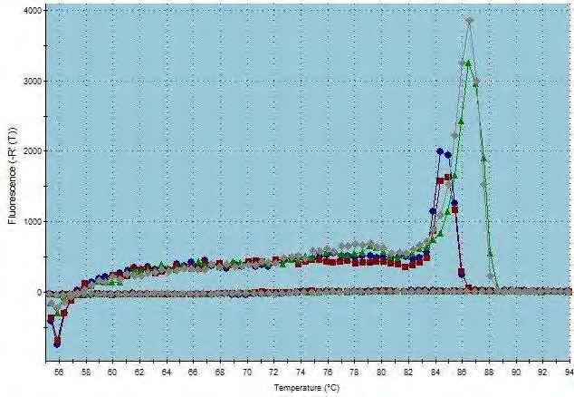 CNOT8 Εικόνα 30: Έλεγχος αποσιώπησης CNOT8: Ποσοτική RT-PCR, Dissociation Curve: Διάγραμμα διάστασης σήματος φθορισμού.