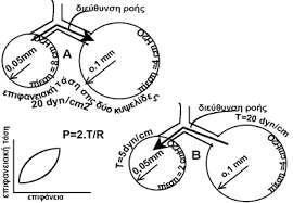 με την πρώτη και έχει μικρότερη ακτίνα από αυτή δέχεται μεγαλύτερη πίεση.