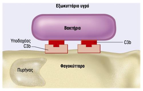 Ενεργοποίηση συστήματος