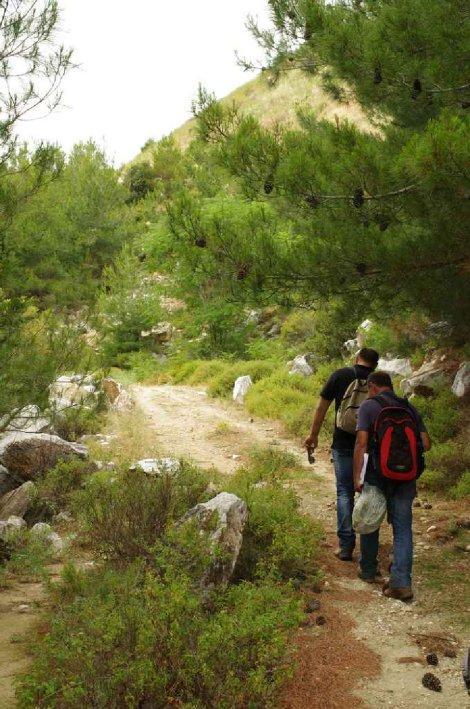 Χιονοδρομία κατάβασης Χιονοδρομία ανώμαλου