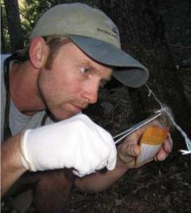Μη επεμβατική συλλογή δειγμάτων (non-invasive sampling) Πολλοί οργανισμοί αφήνουν ορατά και εύκολο να βρεθούν σημάδια από το πέρασμά τους, ακόμα