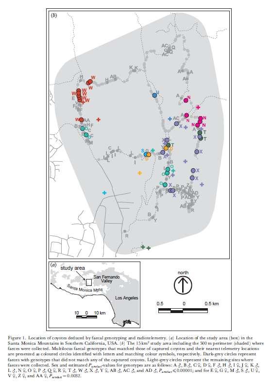Μη επεμβατική συλλογή δειγμάτων (non-invasive sampling) [Kohn et al.