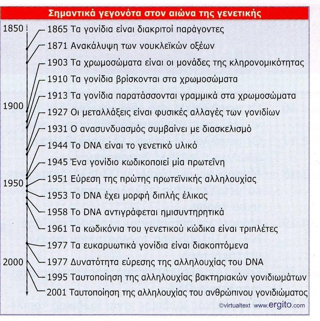 ΛΕΙΤΟΥΡΓΙΑ DNA Η δομή της διπλής έλικας του DNA επιτρέπει τη μεταφορά (υπό χημική μορφή) και την ακριβή