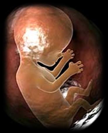αύξηση κρεατινίνης Λευκοπενία Αντενδείξεις: Εγκυμοσύνη