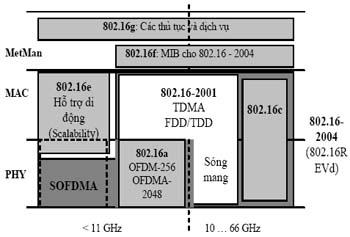 Hệ thống WiMAX được phân chia thành 4 lớp con : Các lớp này tương đương với hai lớp dưới của mô hình OSI và được tiêu chuẩn hoá để có thể giao tiếp với nhiều ứng dụng lớp trên Các chuẩn Wimax 802.