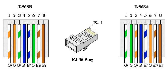 Tốc độ truyền tải tối đa: 10 Mbps Sử dụng cáp UTP CAT 3 trở lên Sử dụng 4 sợi - 2 đôi, 1 đôi truyền - 1 đôi nhận Sử dụng 4 pin: 1, 2, 3, 6 Sử dụng đầu nối: RJ45 Độ dài tối đa của một đoạn cáp UTP: