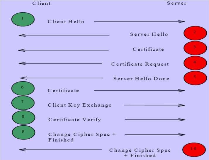 SSL Handshake Protocol