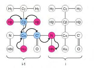 γνωστοποιηθούν και οι συχνότητες συντονισμού των υδρογόνων των Cα και Cβ (Ηα και Ηβ αντιστοίχως).