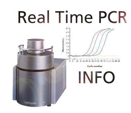 Real Time PCR Ταχεία